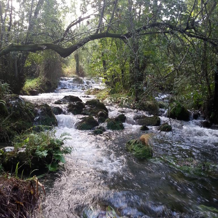 Séjour à la campagne Bajo Tilos Ribadesella